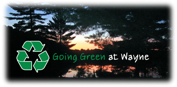 Going Green at Camp Wayne