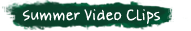 video_suite