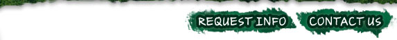 Request info Contact